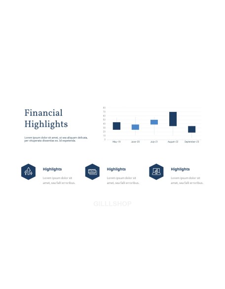 Business Report Animated Slides Presentation Design