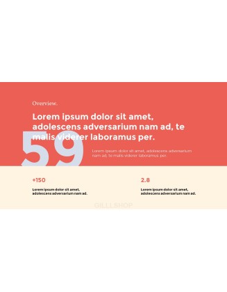 Mobile App & Web Development Agency Animated Slides