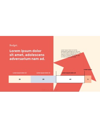 Mobile App & Web Development Agency Animated Slides