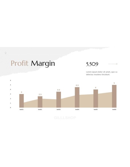 Branding Project Pitch Deck Animation Presentation