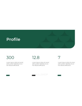 Corporate Business Profile Powerpoint Presentation Video