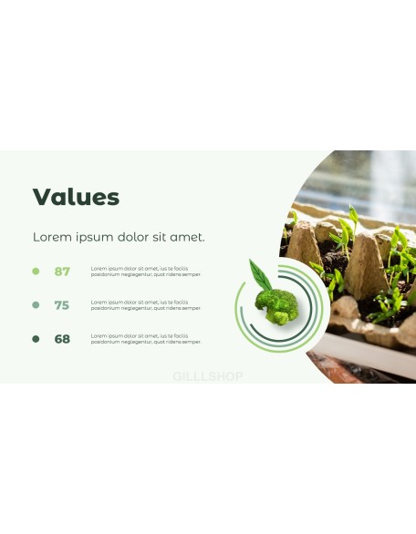 Upcycling Food Theme animated PowerPoint Templates