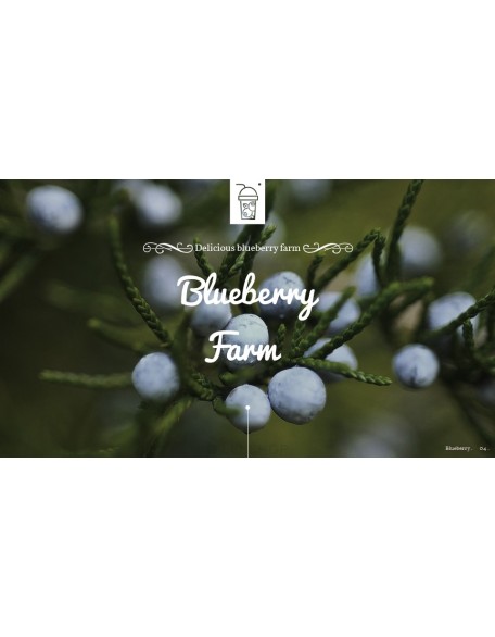 Blueberries Best PPT