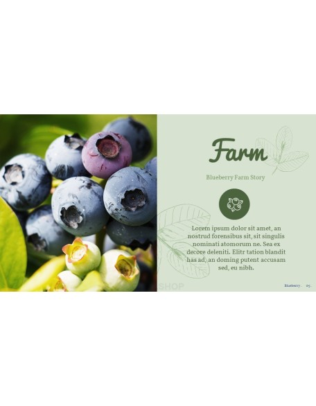 Blueberries Best PPT