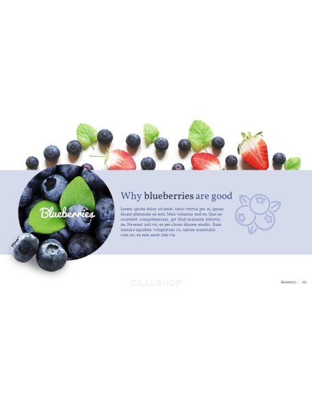 Blueberries Best PPT