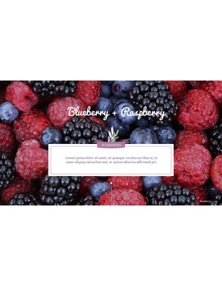 Blueberries Best PPT