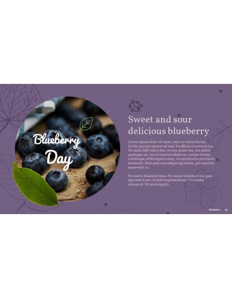 Blueberries Best PPT
