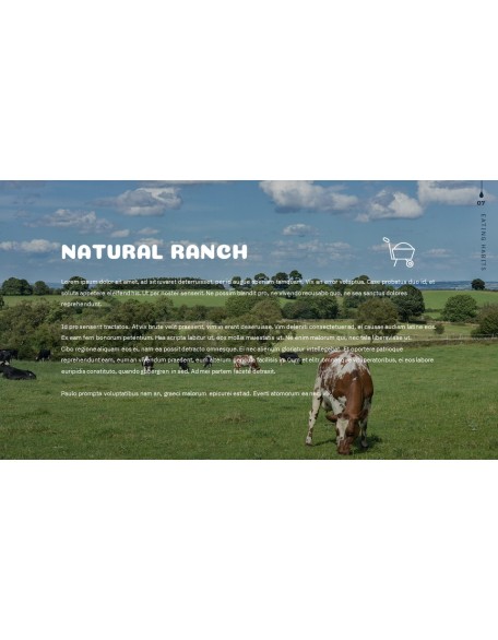 Milk PPT Background Images