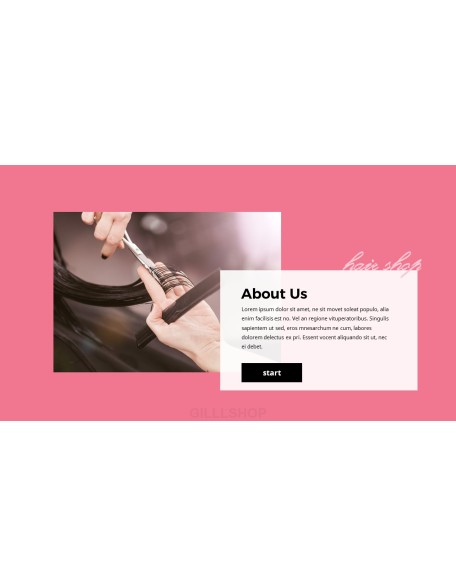 Hair Shop PowerPoint Presentation Slides