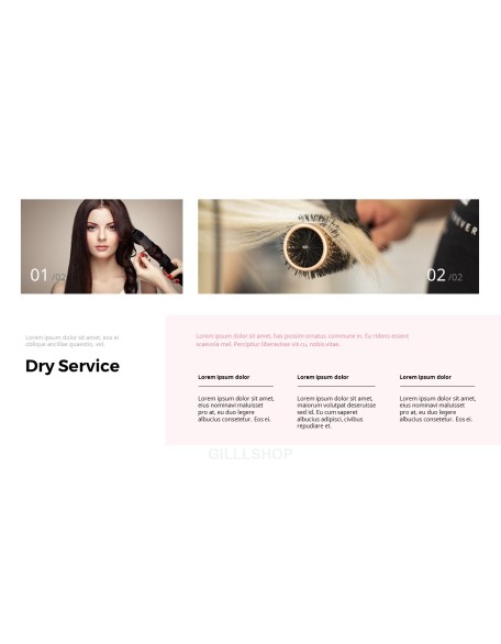 Hair Shop PowerPoint Presentation Slides