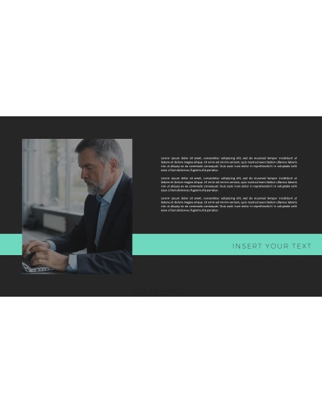 Business proposal Action plan PPT