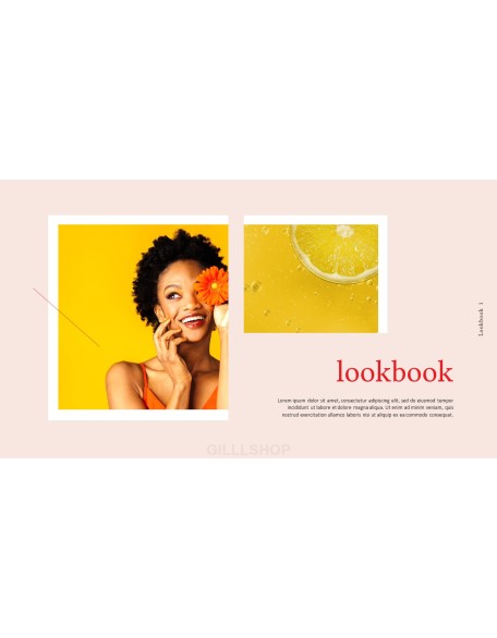 Summer Lookbook PowerPoint Presentation PPT