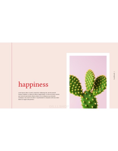 Summer Lookbook PowerPoint Presentation PPT