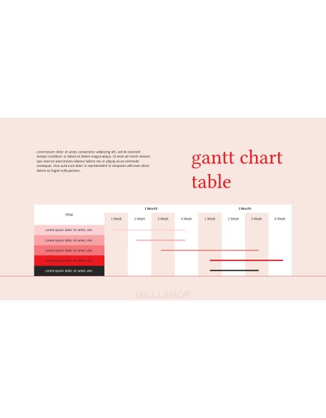 Summer Lookbook PowerPoint Presentation PPT
