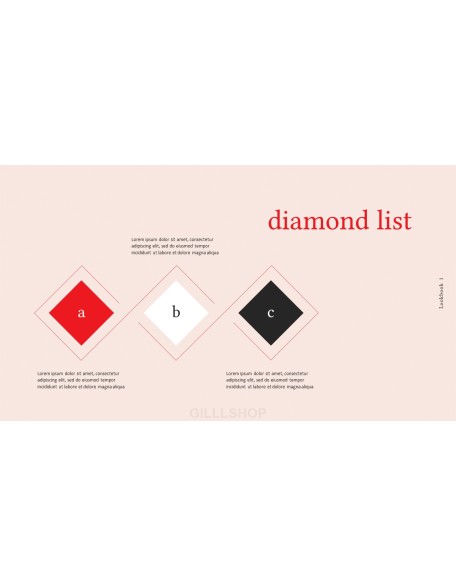 Summer Lookbook PowerPoint Presentation PPT
