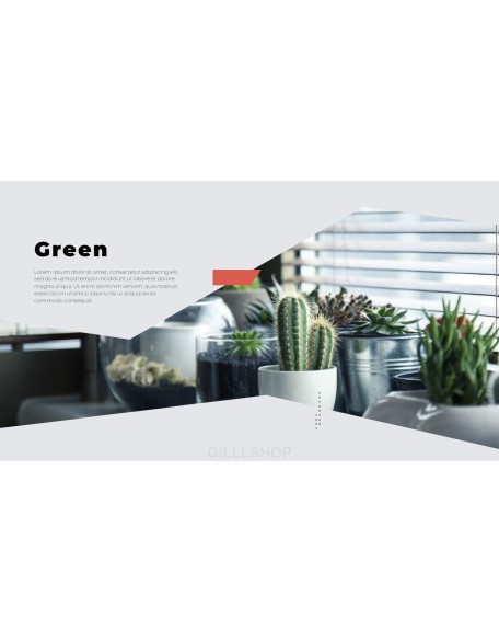 Pitch Deck ppt template