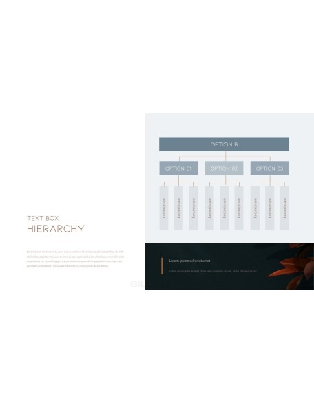 Beauty Concept Theme Templates