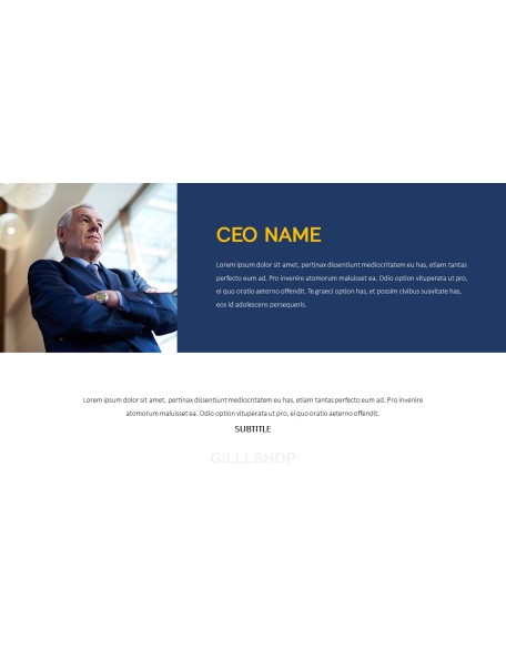 Business Proposal Business plan PPT Templates