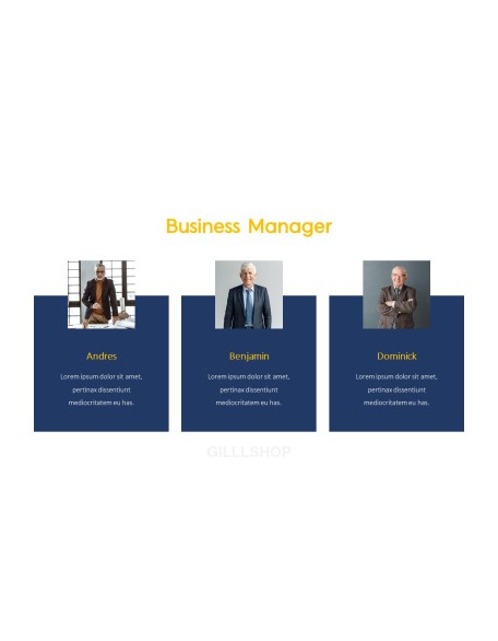 Business Proposal Business plan PPT Templates