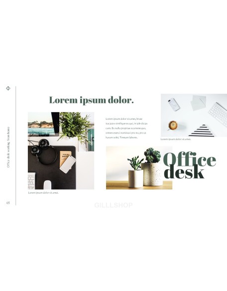 Office Desk Professional PPT