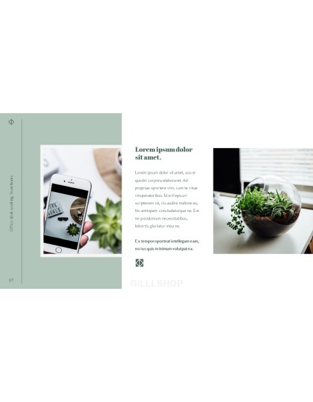 Office Desk Professional PPT