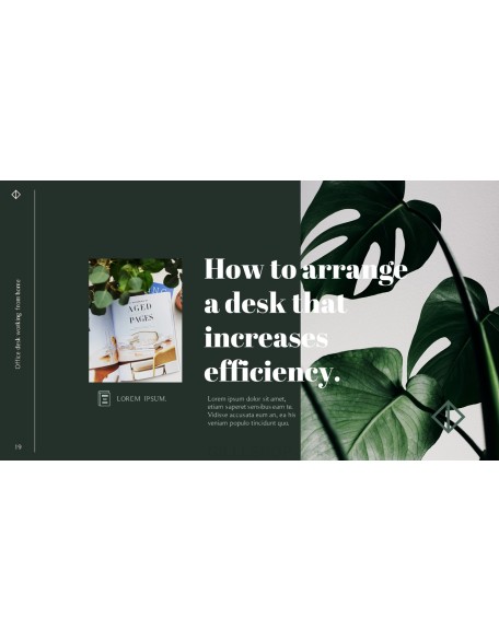 Office Desk Professional PPT