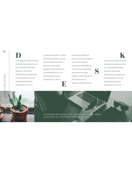 Office Desk Professional PPT