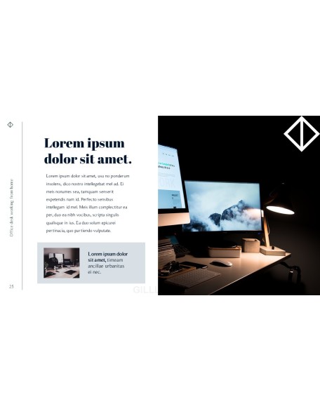 Office Desk Professional PPT