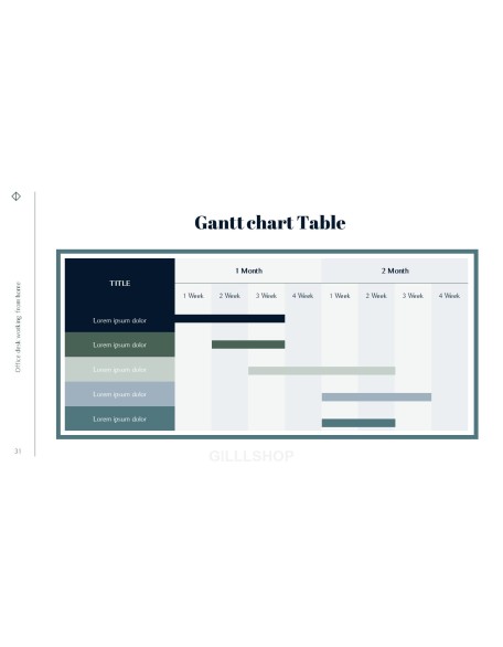 Office Desk Professional PPT