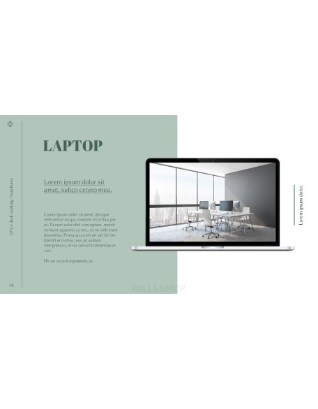 Office Desk Professional PPT
