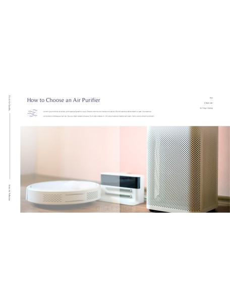 Air Purifiers for Air Pollution Presentation Format