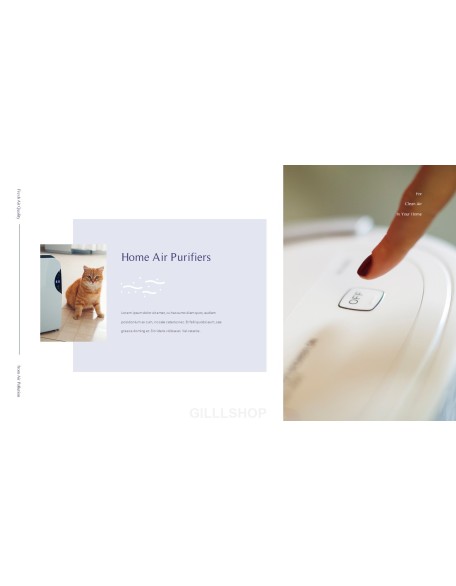 Air Purifiers for Air Pollution Presentation Format