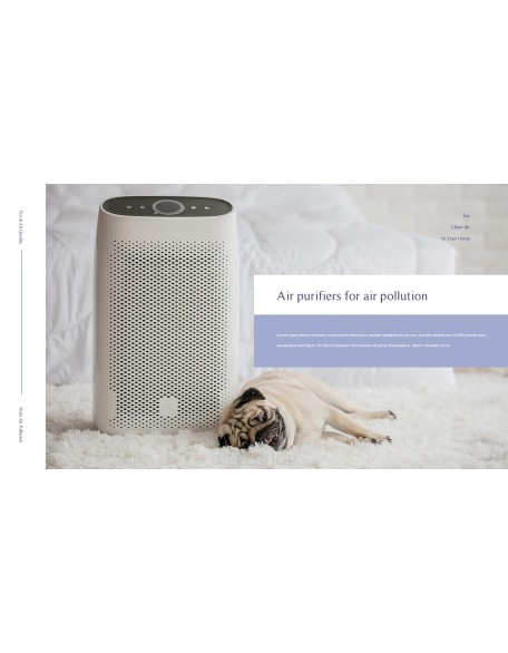 Air Purifiers for Air Pollution Presentation Format