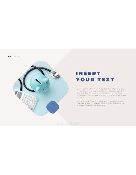 Insurance Service Business plan PPT Templates