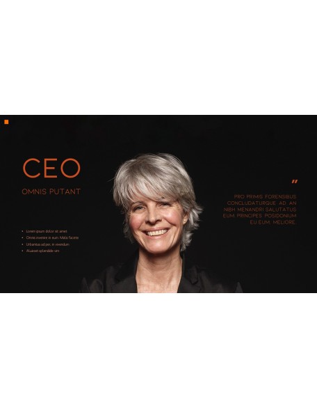 Company Introduction PPT Theme