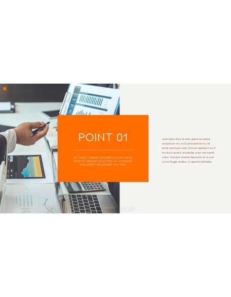 Company Introduction PPT Theme