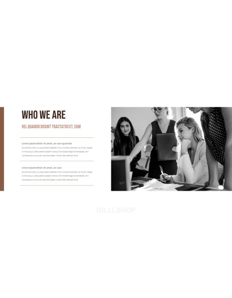 Business the Professional Business Presentation Templates
