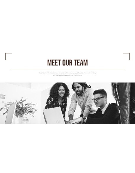 Business the Professional Business Presentation Templates