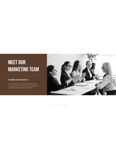 Business the Professional Business Presentation Templates