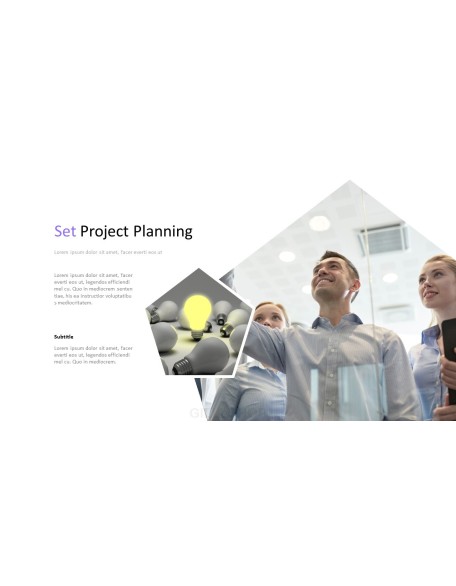 Consulting Project Plan Business Presentation PPT