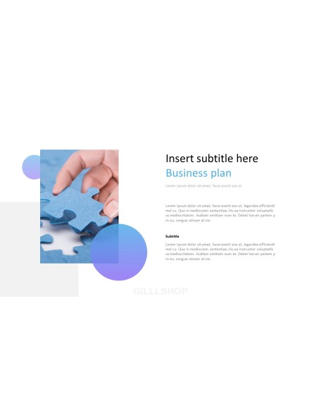 Consulting Project Plan Business Presentation PPT