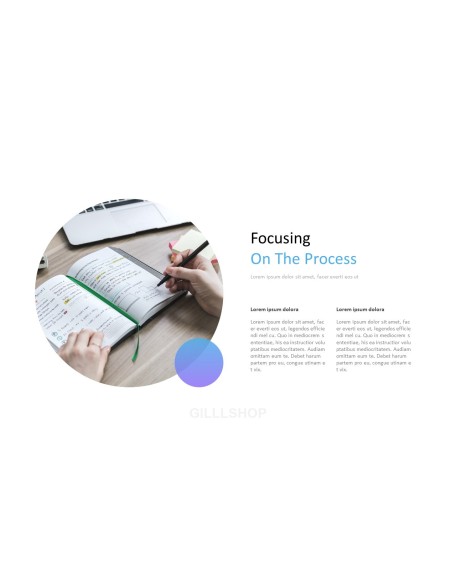 Consulting Project Plan Business Presentation PPT