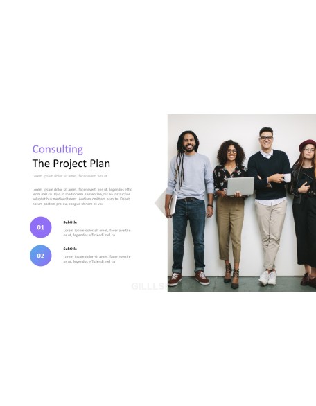 Consulting Project Plan Business Presentation PPT