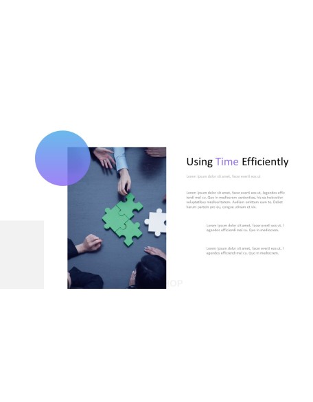 Consulting Project Plan Business Presentation PPT