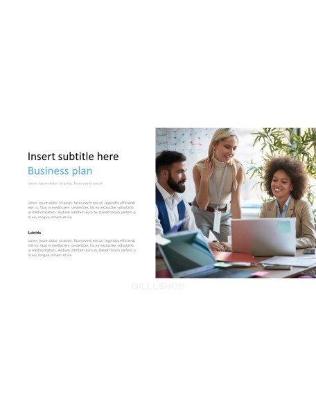 Consulting Project Plan Business Presentation PPT