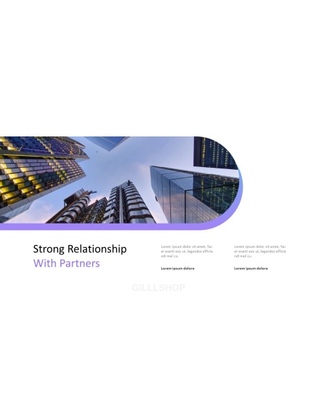 Consulting Project Plan Business Presentation PPT