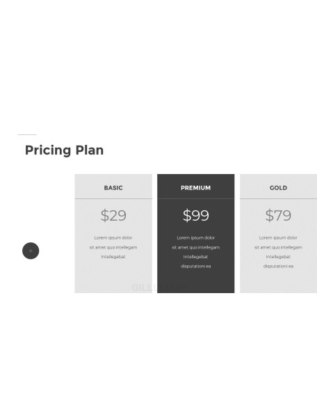 Minimal Buisiness PPT Slides