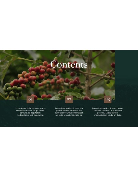 Coffee Plantation presentation slides ppt