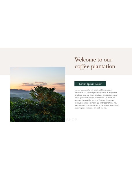 Coffee Plantation presentation slides ppt