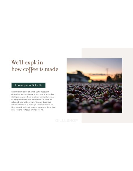 Coffee Plantation presentation slides ppt